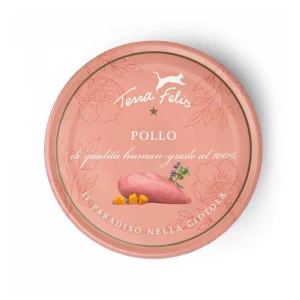 Terra Felis Umido Pollo 80g - Terracanis