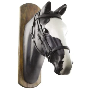 Uke Testiera Biothane Horse Ball con Redini