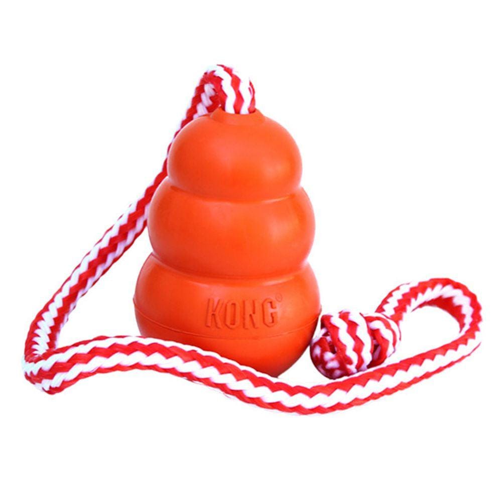 KONG Aqua gioco galleggiante per cani con corda