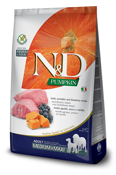 N&D Farmina Pumpkin Adult Medium - Maxi Agnello e Mirtilli