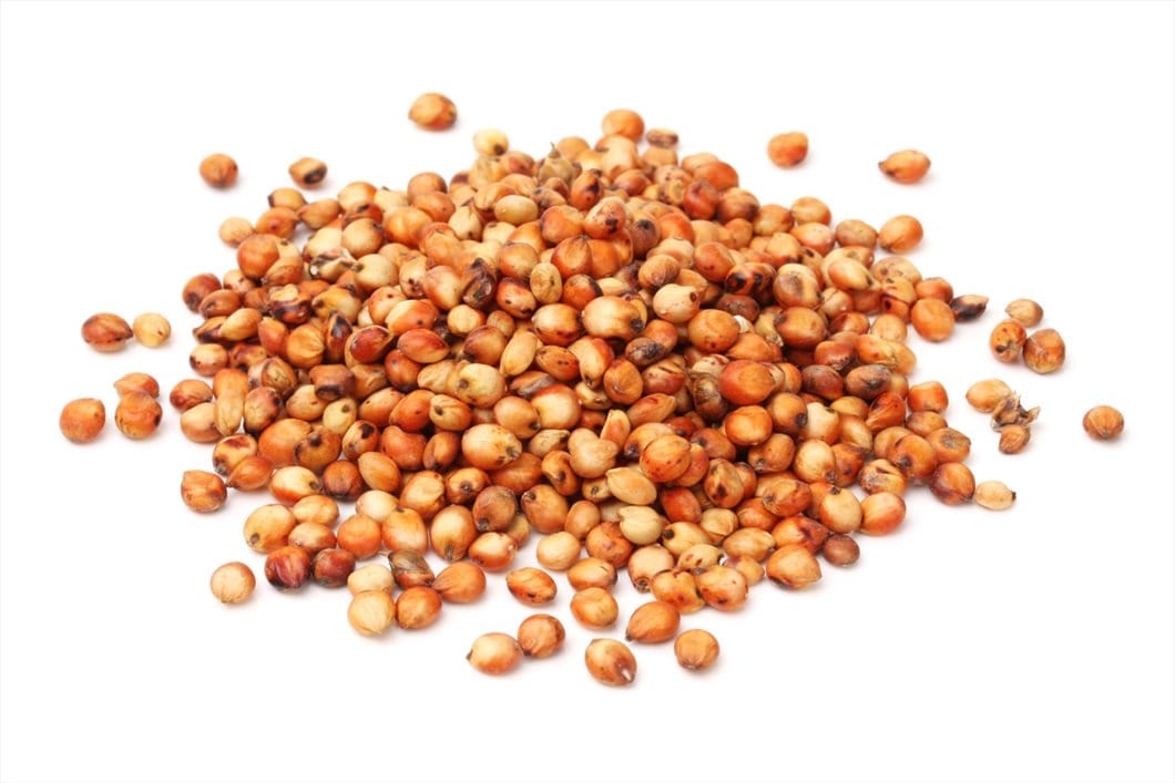 Sorgo Nazionale Cereale per Avicoli e Conigli
