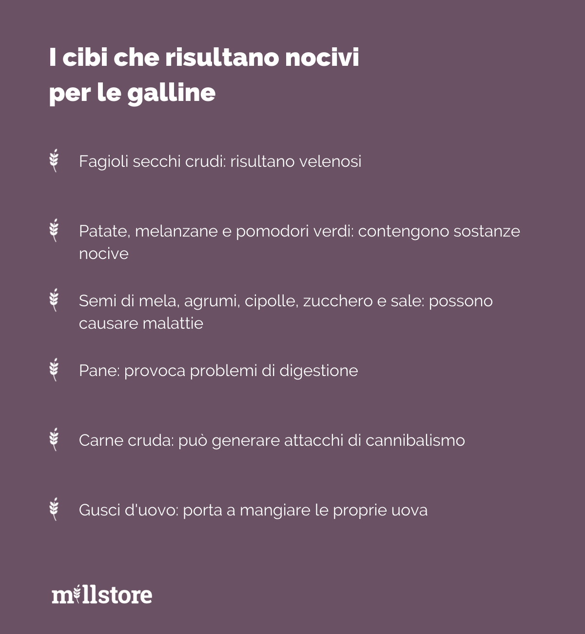 Infografica cibi nocivi galline ovaiole