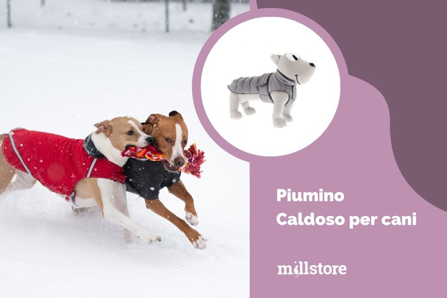 Piumino per Cani Caldoso