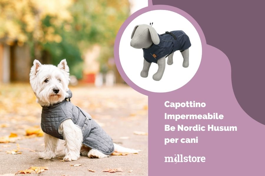 Quali sono i modelli di impermeabile per cane migliori