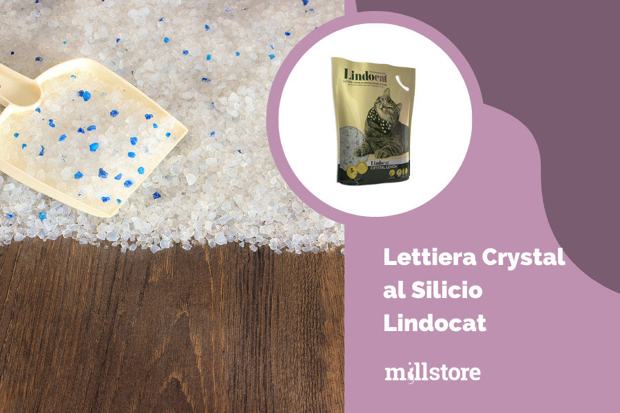 lettiera per gatti al silicio lindocat