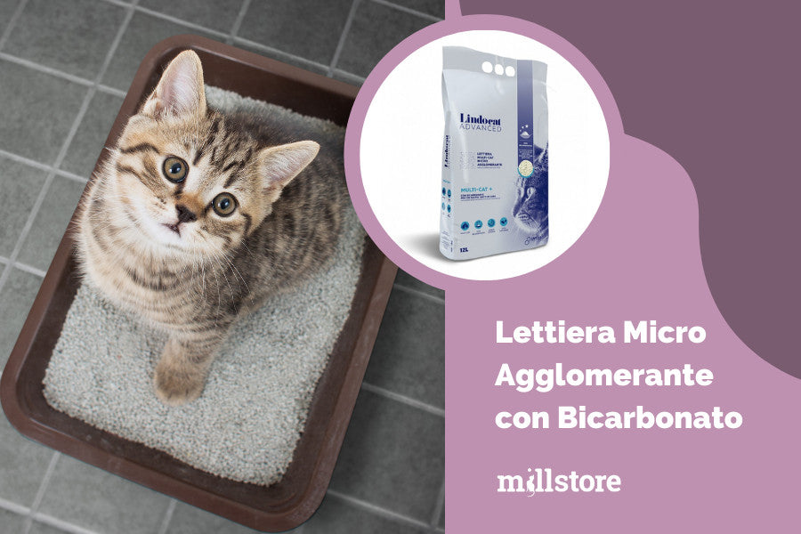 Lettiera micro agglomerante con bicarbonato