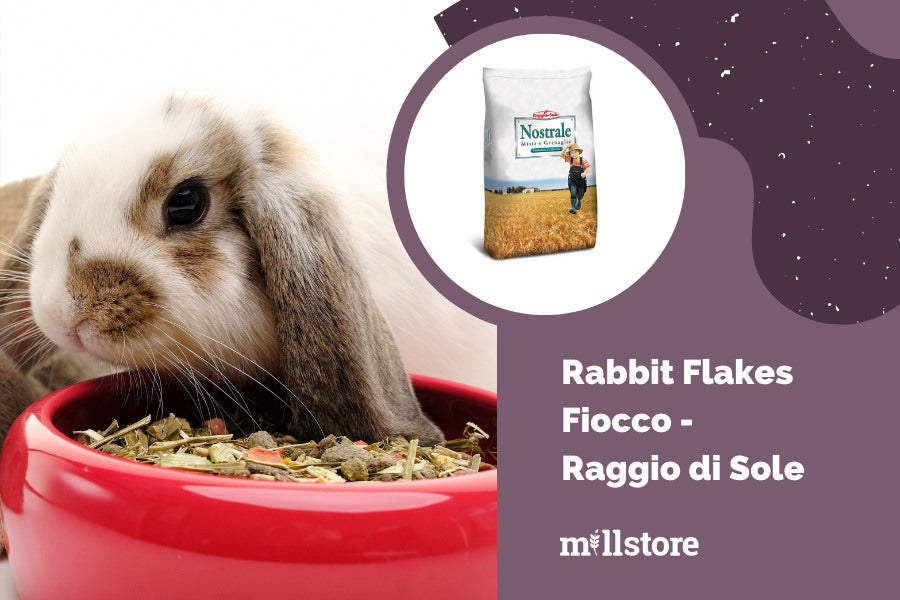 Mangime per conigli allevamento da ingrasso