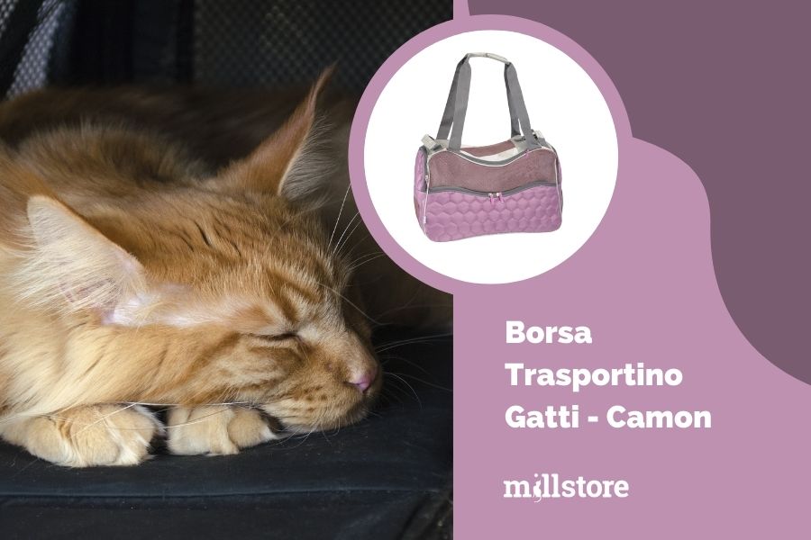 Qual è il migliore trasportino per gatti?