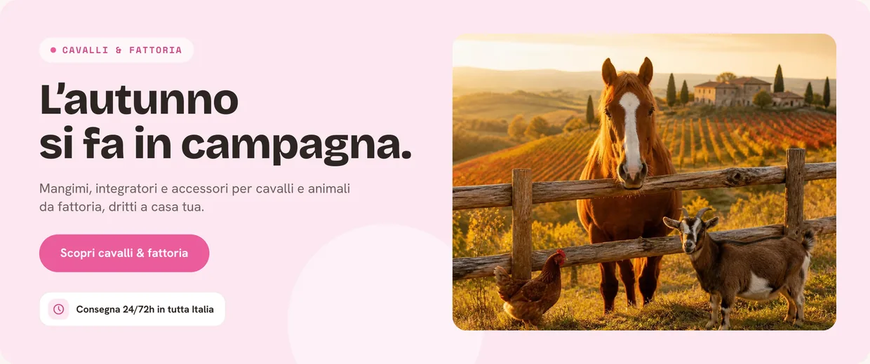 Autunno in campagna: mangimi e accessori per cavalli e animali da fattoria