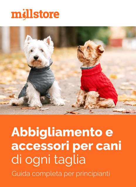Ebook: Come scegliere il vestitino al tuo cane