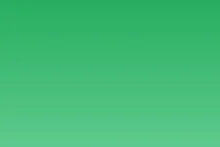 Rettili e Tartarughe